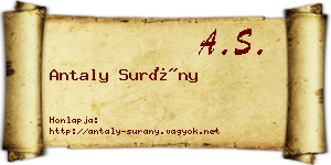 Antaly Surány névjegykártya
